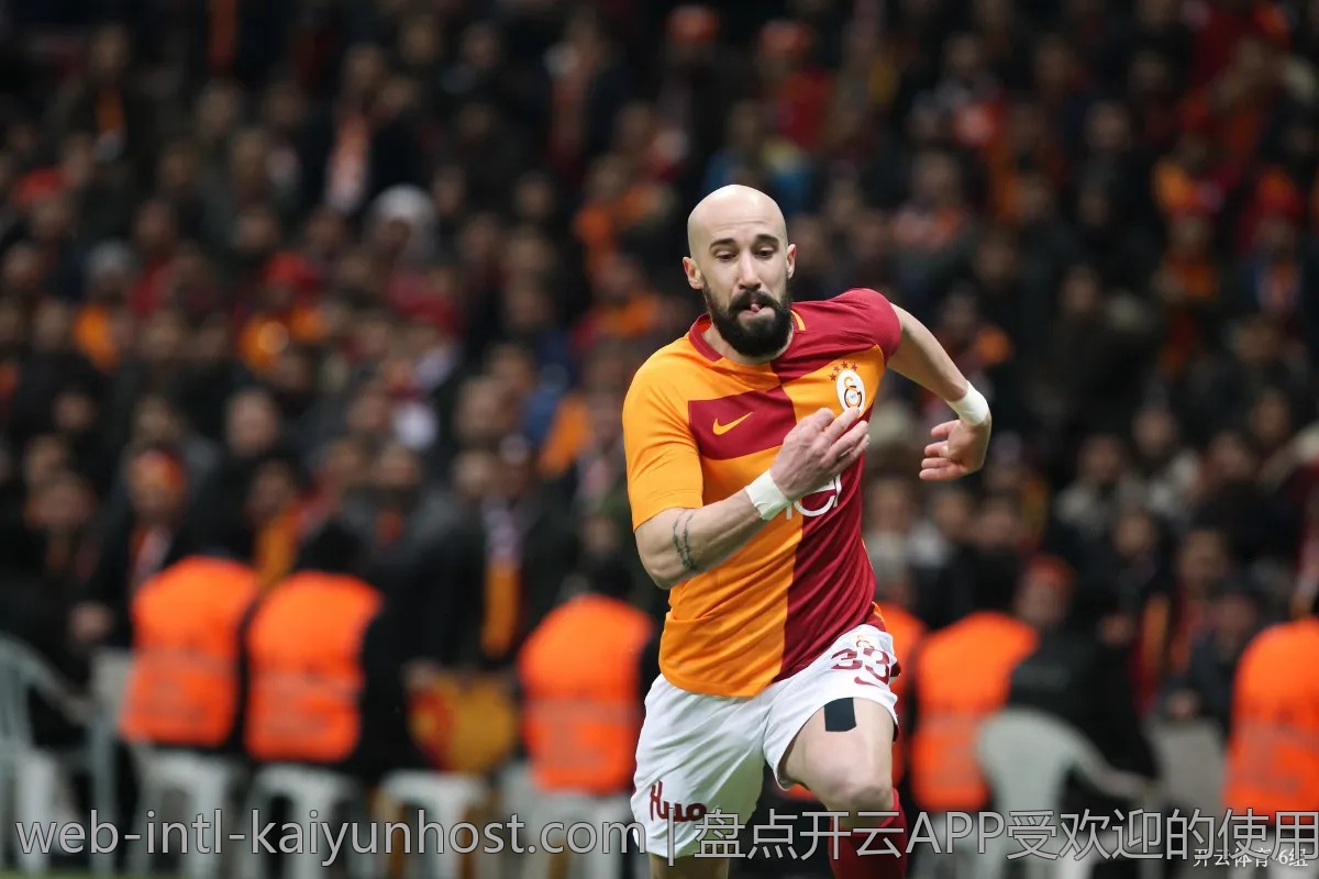 要想玩得尽兴，开云体育登录步骤你得懂