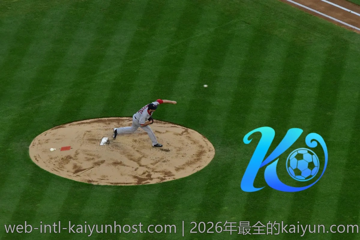 2026年最全的kaiyun.com使用攻略集合